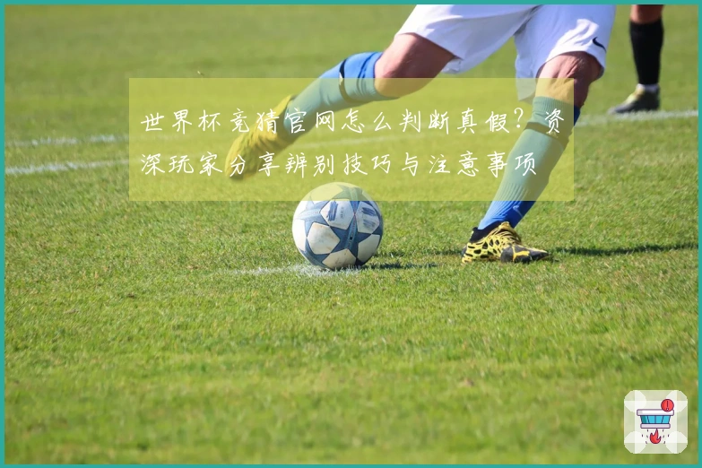 世界杯竞猜官网怎么判断真假？资深玩家分享辨别技巧与注意事项