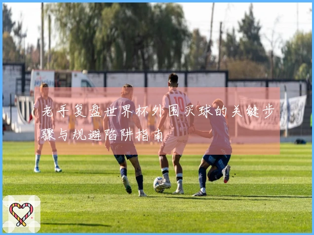 老手复盘世界杯外围买球的关键步骤与规避陷阱指南