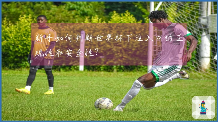 新手如何判断世界杯下注入口的正规性和安全性？