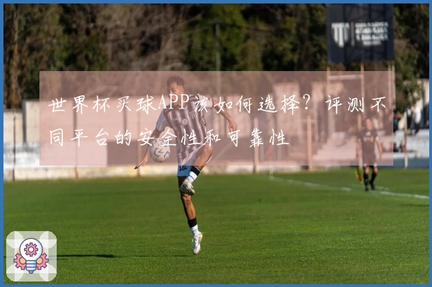 世界杯买球APP该如何选择？评测不同平台的安全性和可靠性