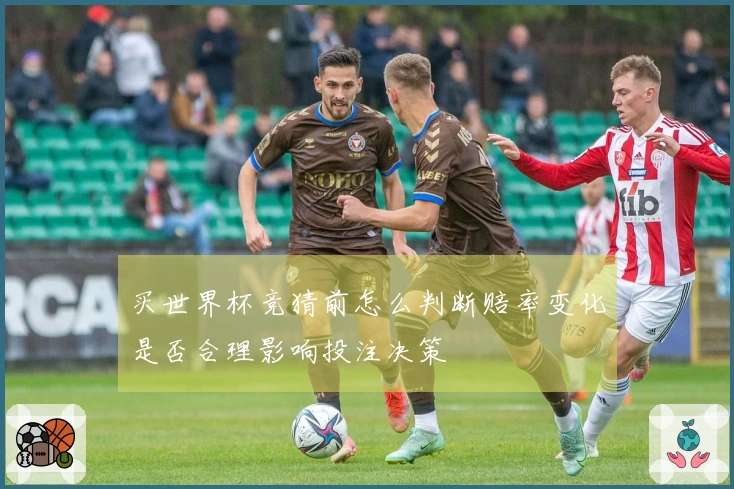 买世界杯竞猜前怎么判断赔率变化是否合理影响投注决策