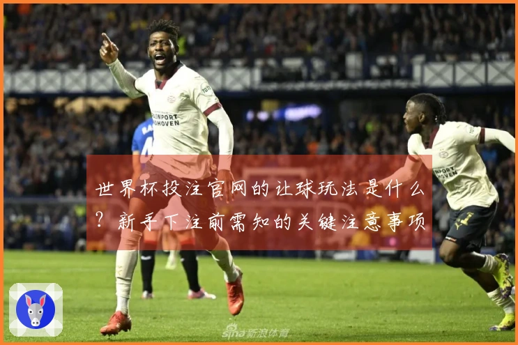 世界杯投注官网的让球玩法是什么？新手下注前需知的关键注意事项
