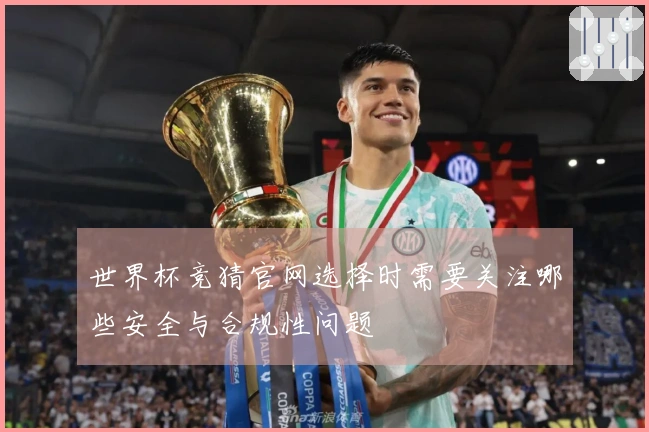 世界杯竞猜官网选择时需要关注哪些安全与合规性问题