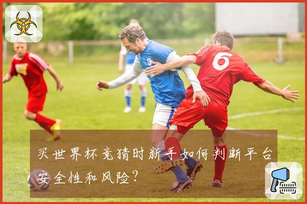 买世界杯竞猜时新手如何判断平台安全性和风险？