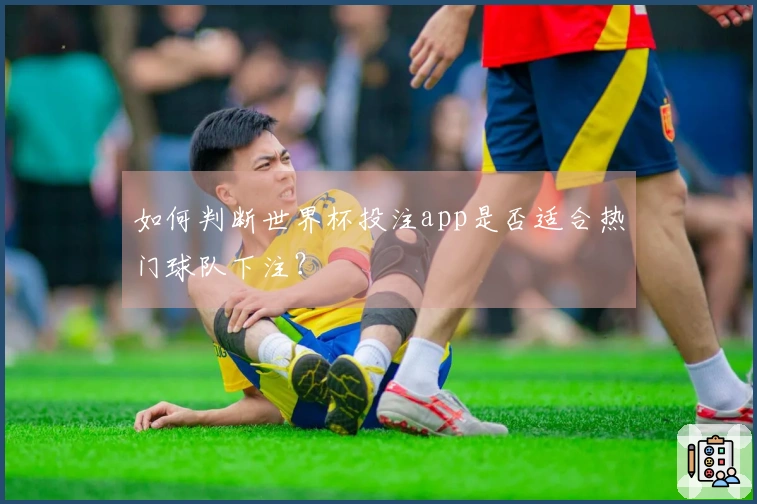 如何判断世界杯投注app是否适合热门球队下注？