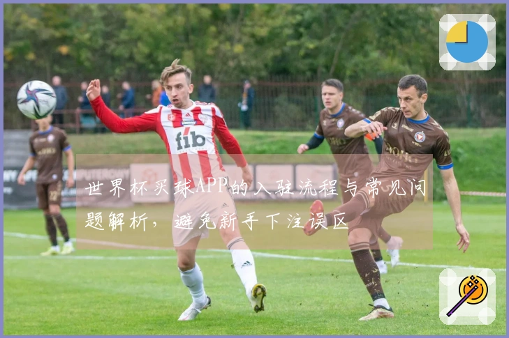 世界杯买球APP的入驻流程与常见问题解析，避免新手下注误区