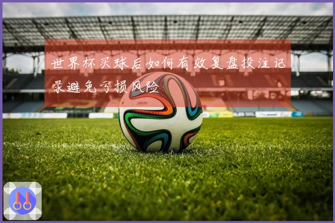 世界杯买球后如何有效复盘投注记录避免亏损风险