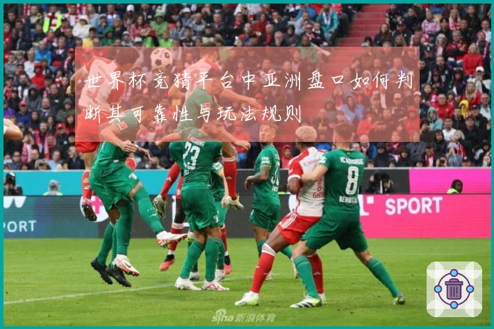 世界杯竞猜平台中亚洲盘口如何判断其可靠性与玩法规则