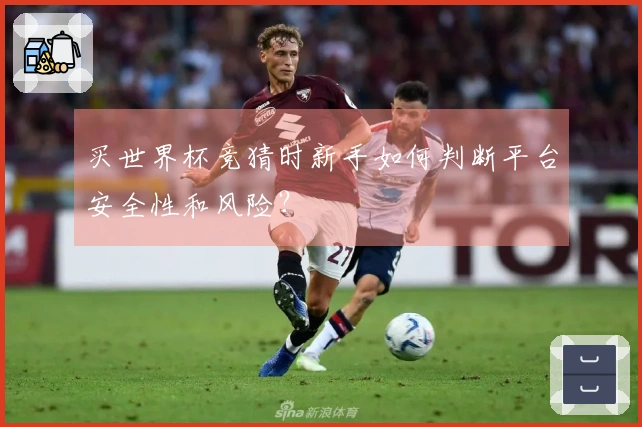 买世界杯竞猜时新手如何判断平台安全性和风险？