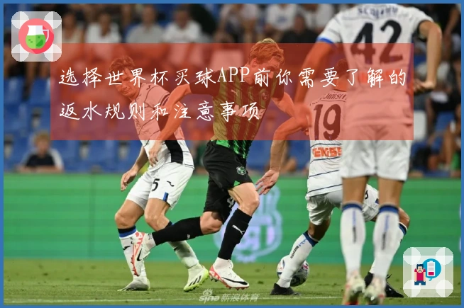 选择世界杯买球APP前你需要了解的返水规则和注意事项