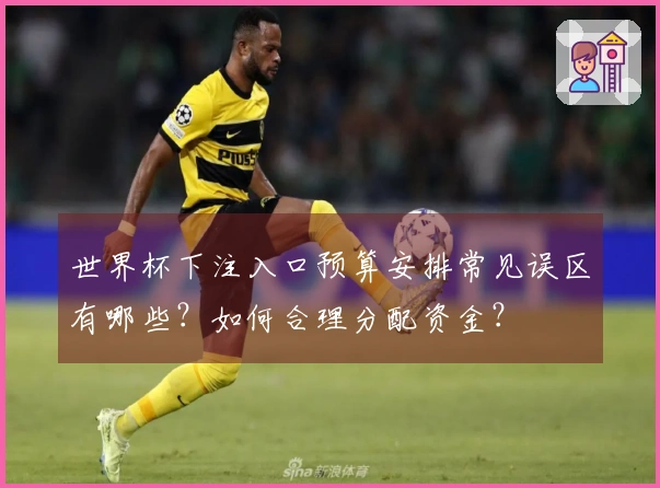 世界杯下注入口预算安排常见误区有哪些？如何合理分配资金？