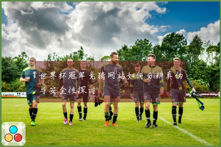 世界杯冠军竞猜网站如何分辨真伪与安全性探讨