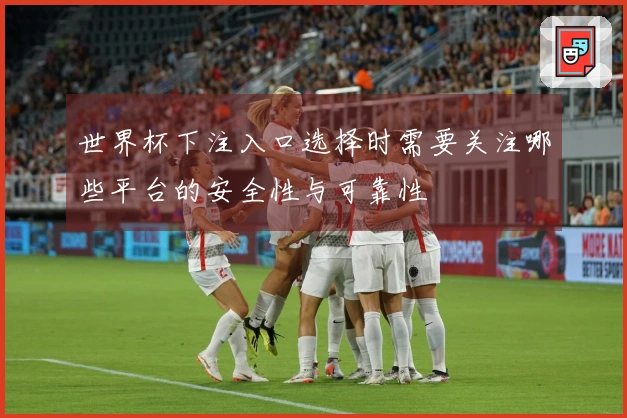 世界杯下注入口选择时需要关注哪些平台的安全性与可靠性
