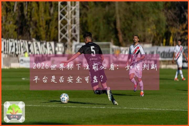 2026世界杯下注前必看：如何判断平台是否安全可靠？