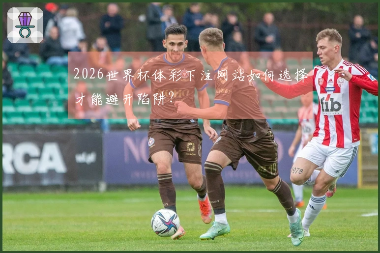 2026世界杯体彩下注网站如何选择才能避开陷阱？