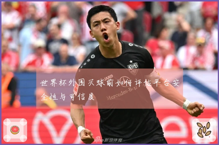 世界杯外围买球前如何评估平台安全性与可信度