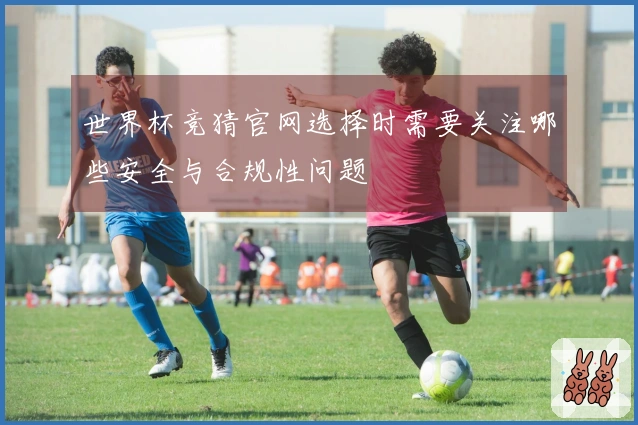 世界杯竞猜官网选择时需要关注哪些安全与合规性问题