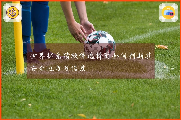 世界杯竞猜软件选择时如何判断其安全性与可信度