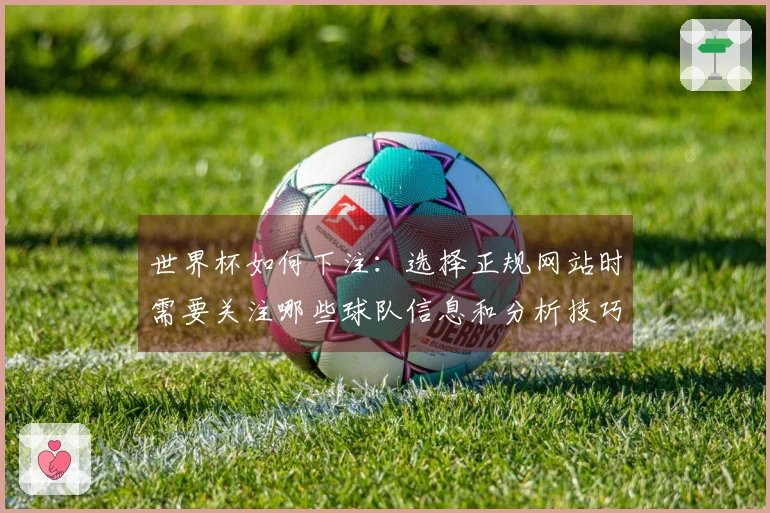 世界杯如何下注：选择正规网站时需要关注哪些球队信息和分析技巧