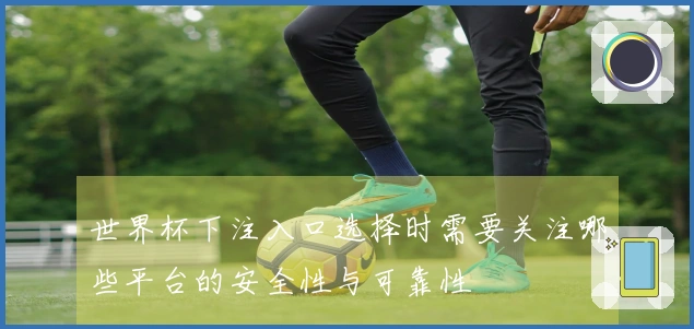 世界杯下注入口选择时需要关注哪些平台的安全性与可靠性