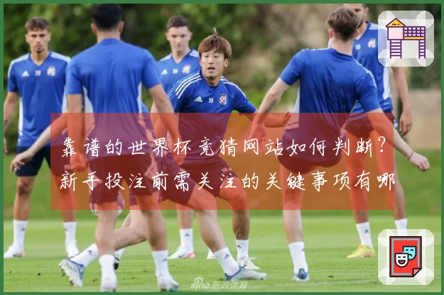 靠谱的世界杯竞猜网站如何判断？新手投注前需关注的关键事项有哪些