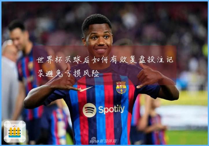 世界杯买球后如何有效复盘投注记录避免亏损风险